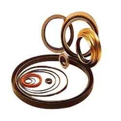 Oil Seals