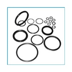 Oil Seals And Gaskets